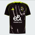 Al Ahly 25/26 away kit